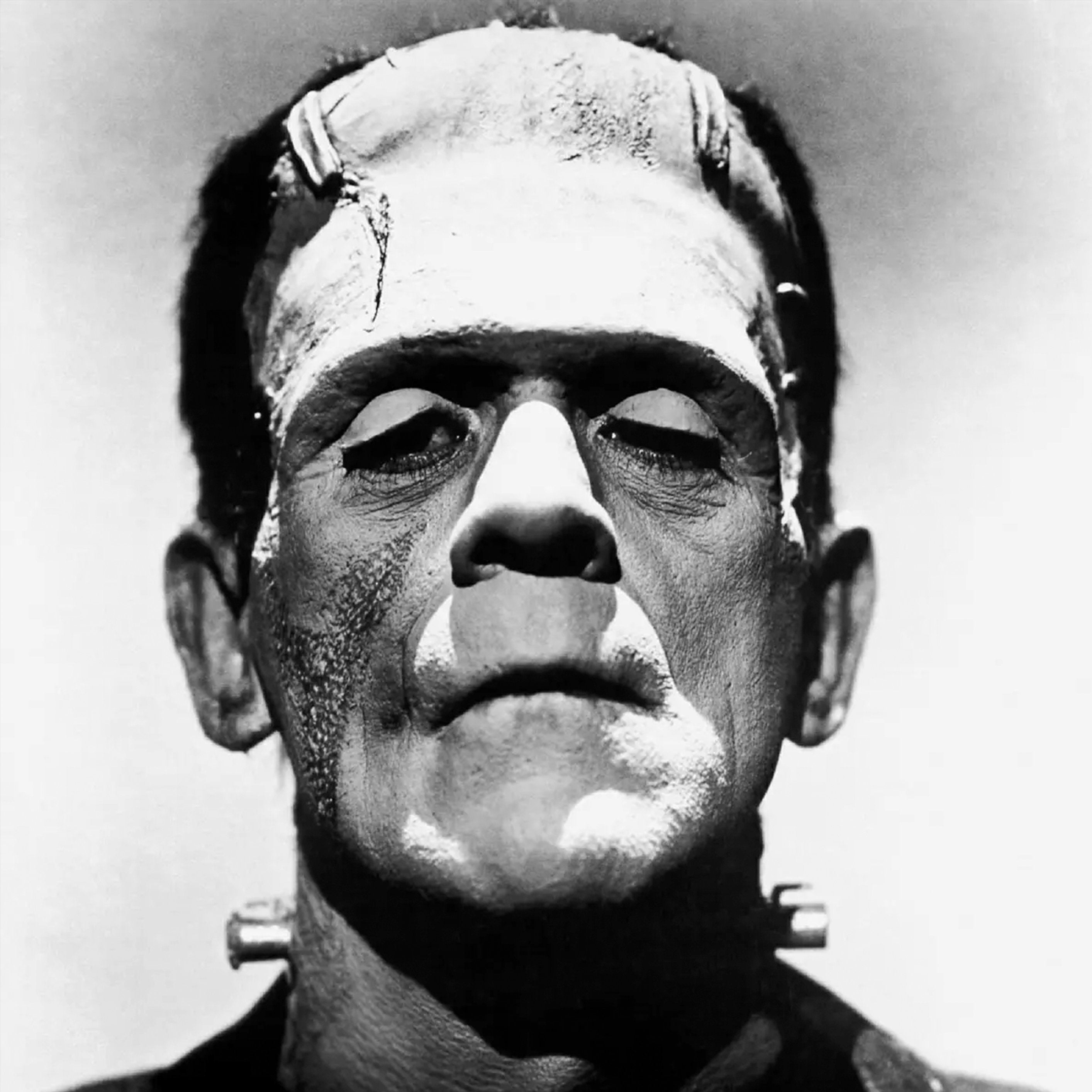 Frankenstein - Rock Rebel