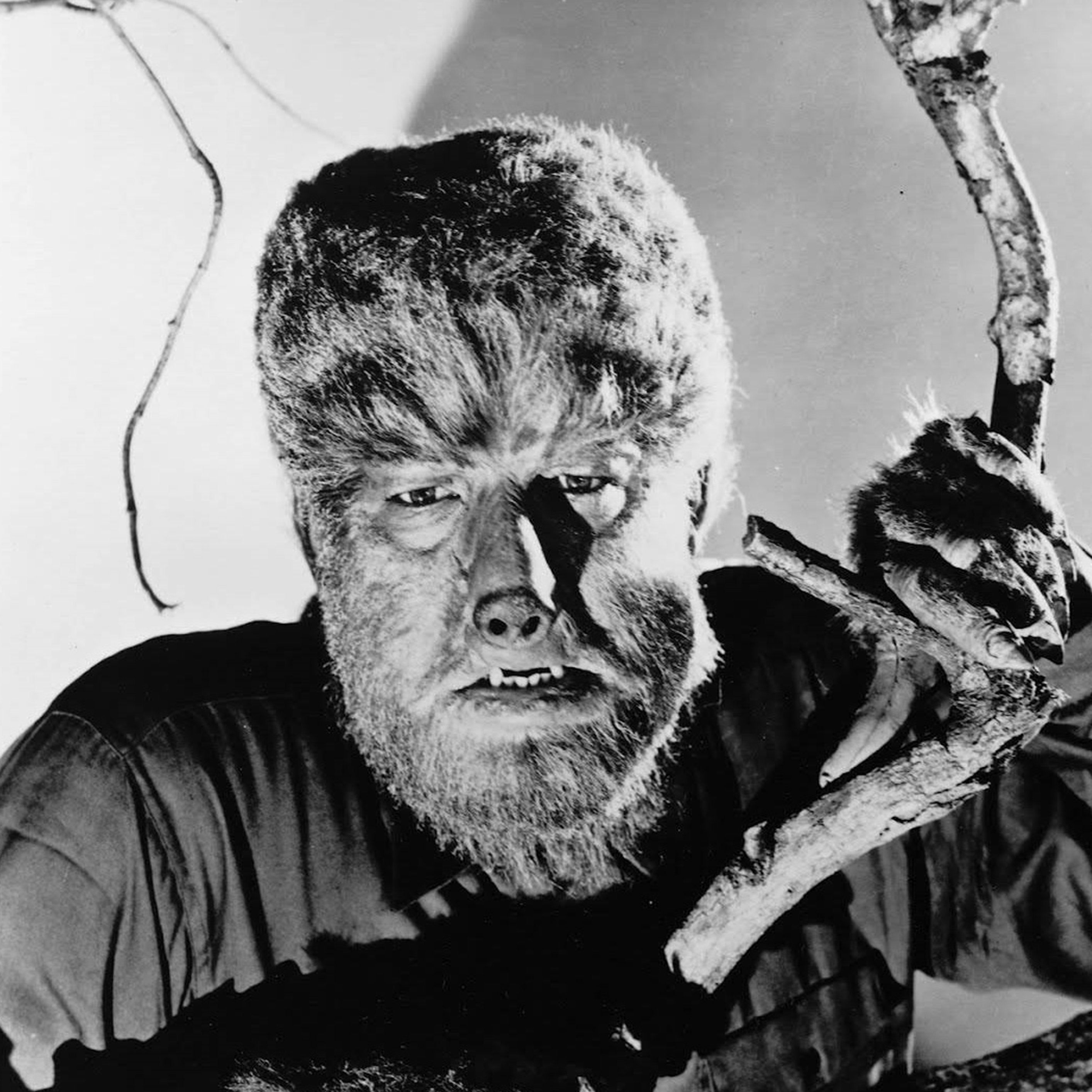 Wolfman - Rock Rebel