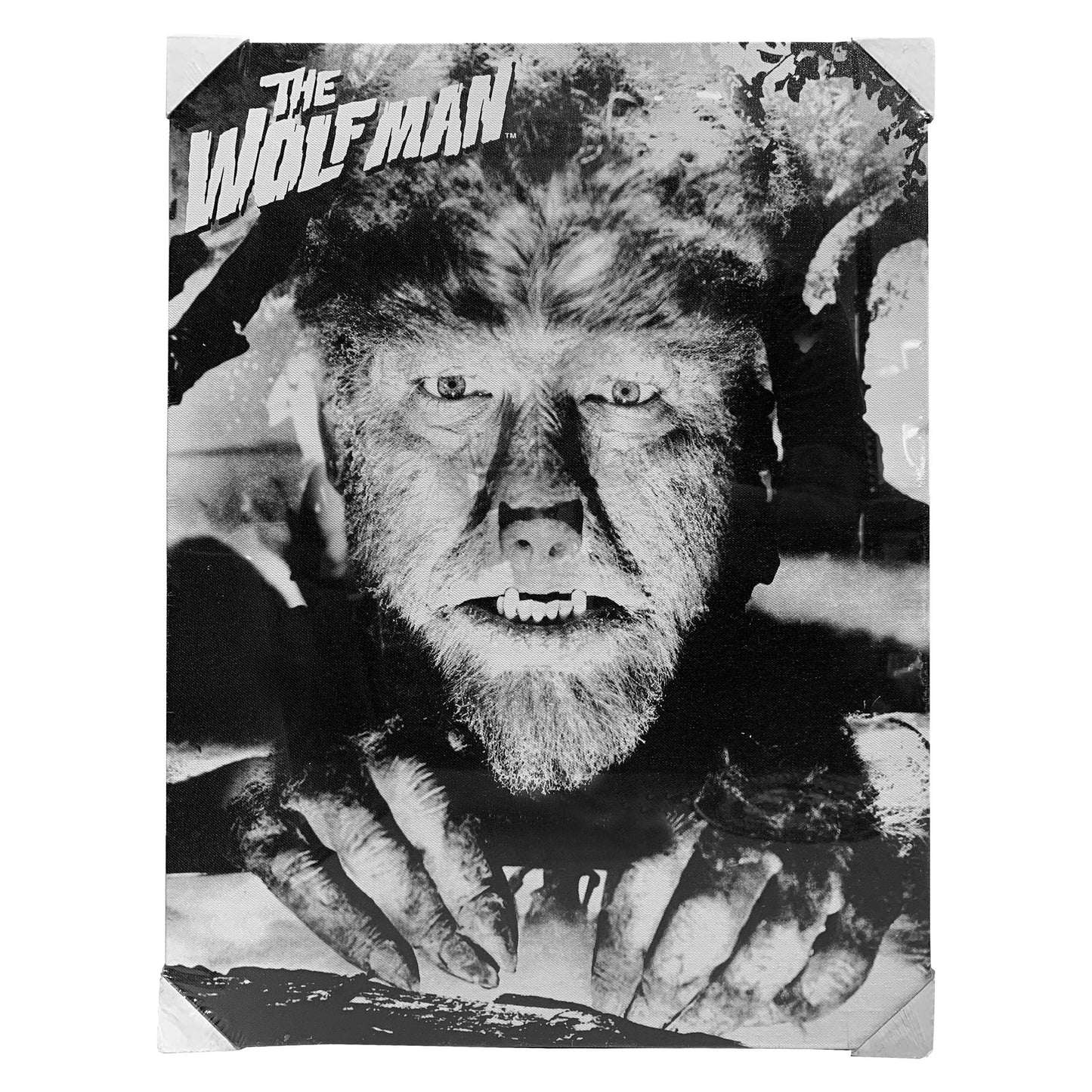 Wolfman Original Movie Still Canvas Print